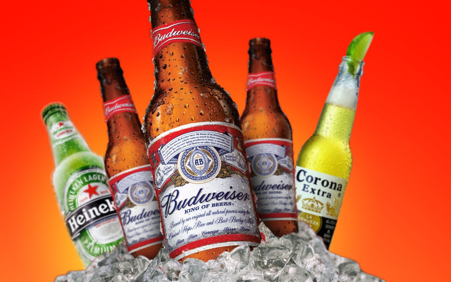 beer