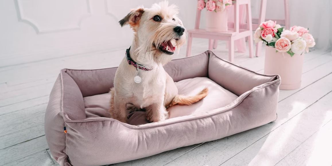 pet bed